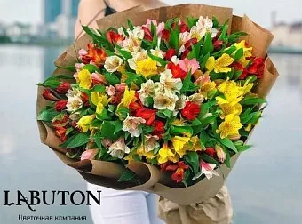 Букет альстромерии 25 шт Букет альстромерии 25 шт